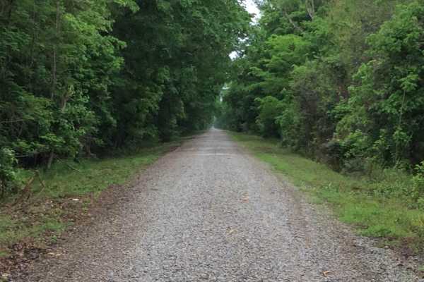 Three Rivers WMA - Grand Bay Trail