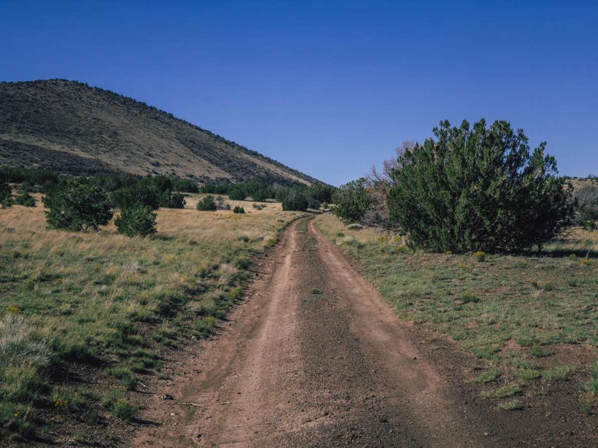 FS780 / 9150 Main trail photo