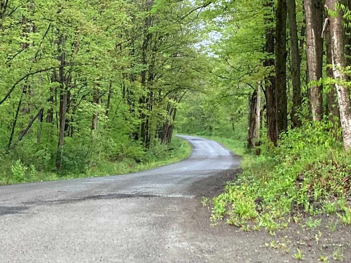 Taylor Valley State Forrest photo 2
