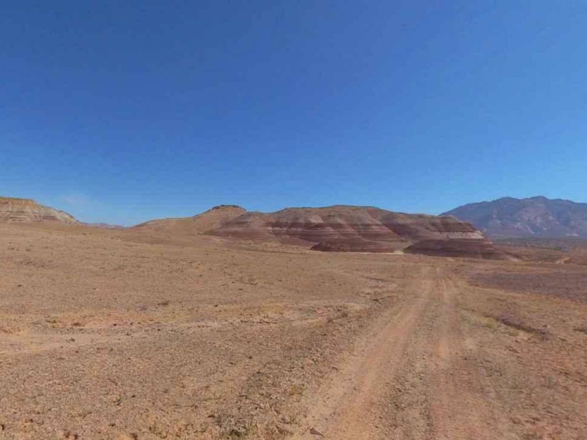 BLM13310 photo 4