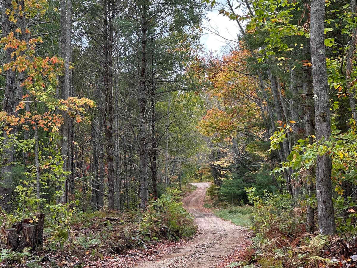 Widewaters Campgrounds - FS 2262 photo 4