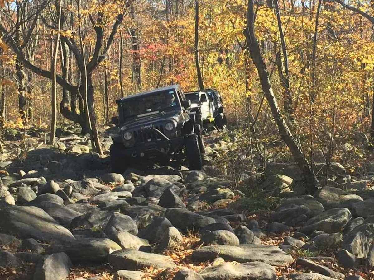 1A Black trail photo