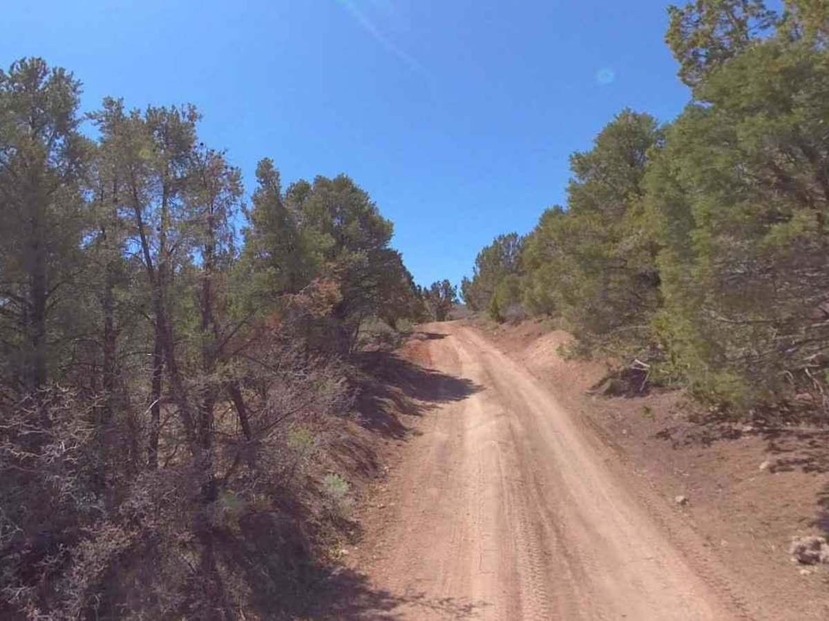 Clay Deposit Road-FR30274 photo 2