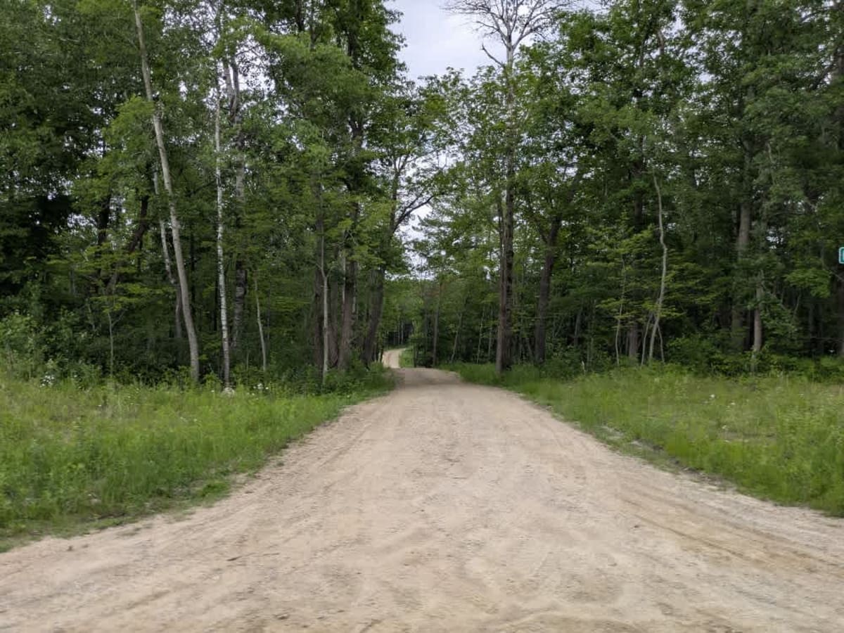 County Road 50 photo 3