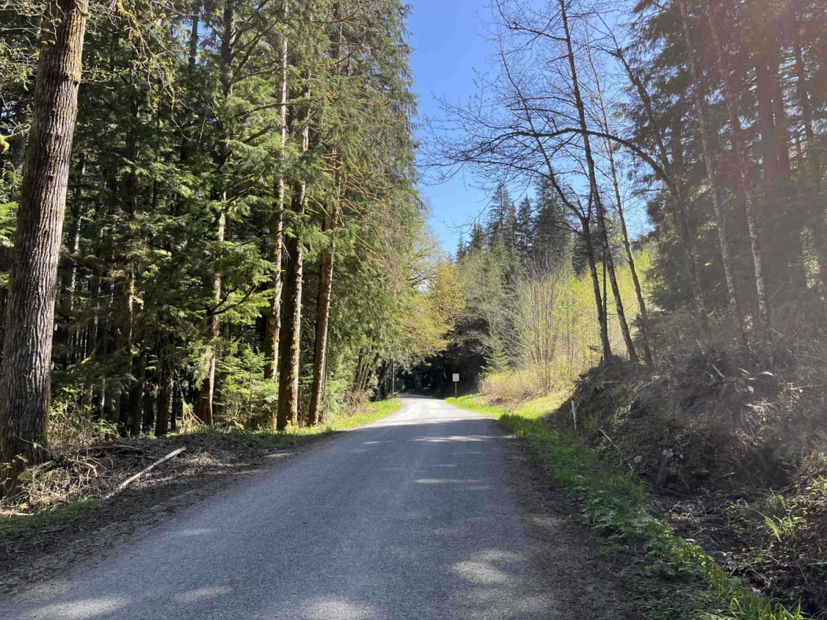 Lake Cavanaugh Road trail photo