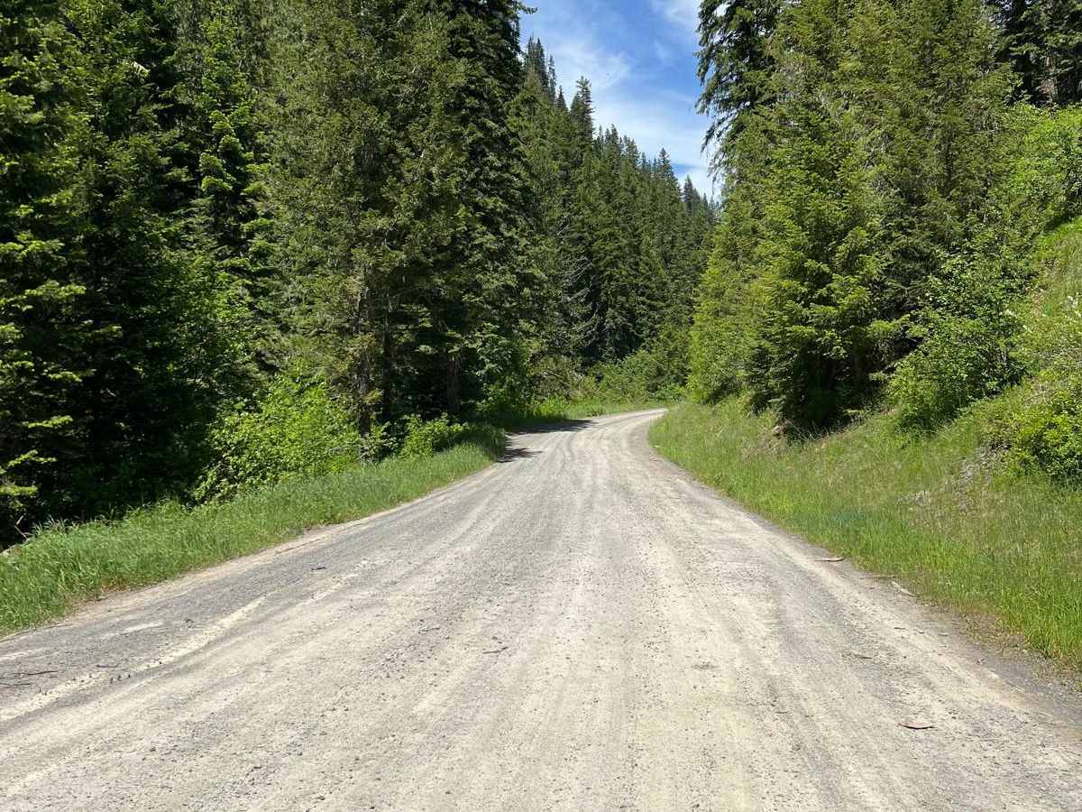 Bird Creek Divide photo 3