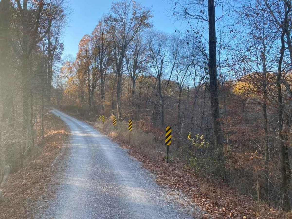 General Watkins Park Road photo 4