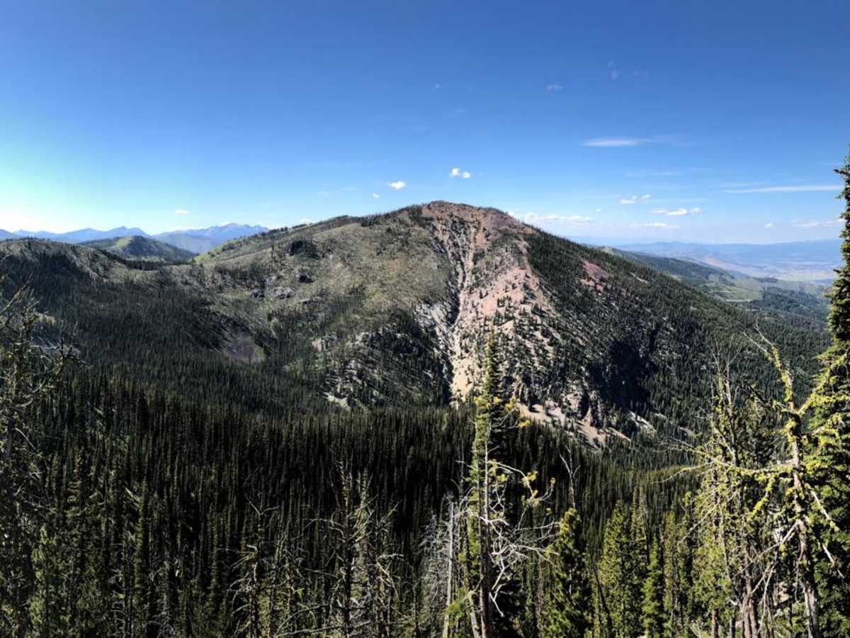 Divide Trail #106 to Twin Creek Ridge Trail photo 5