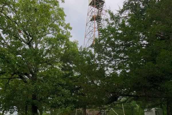 Coot Tower - SCR 216