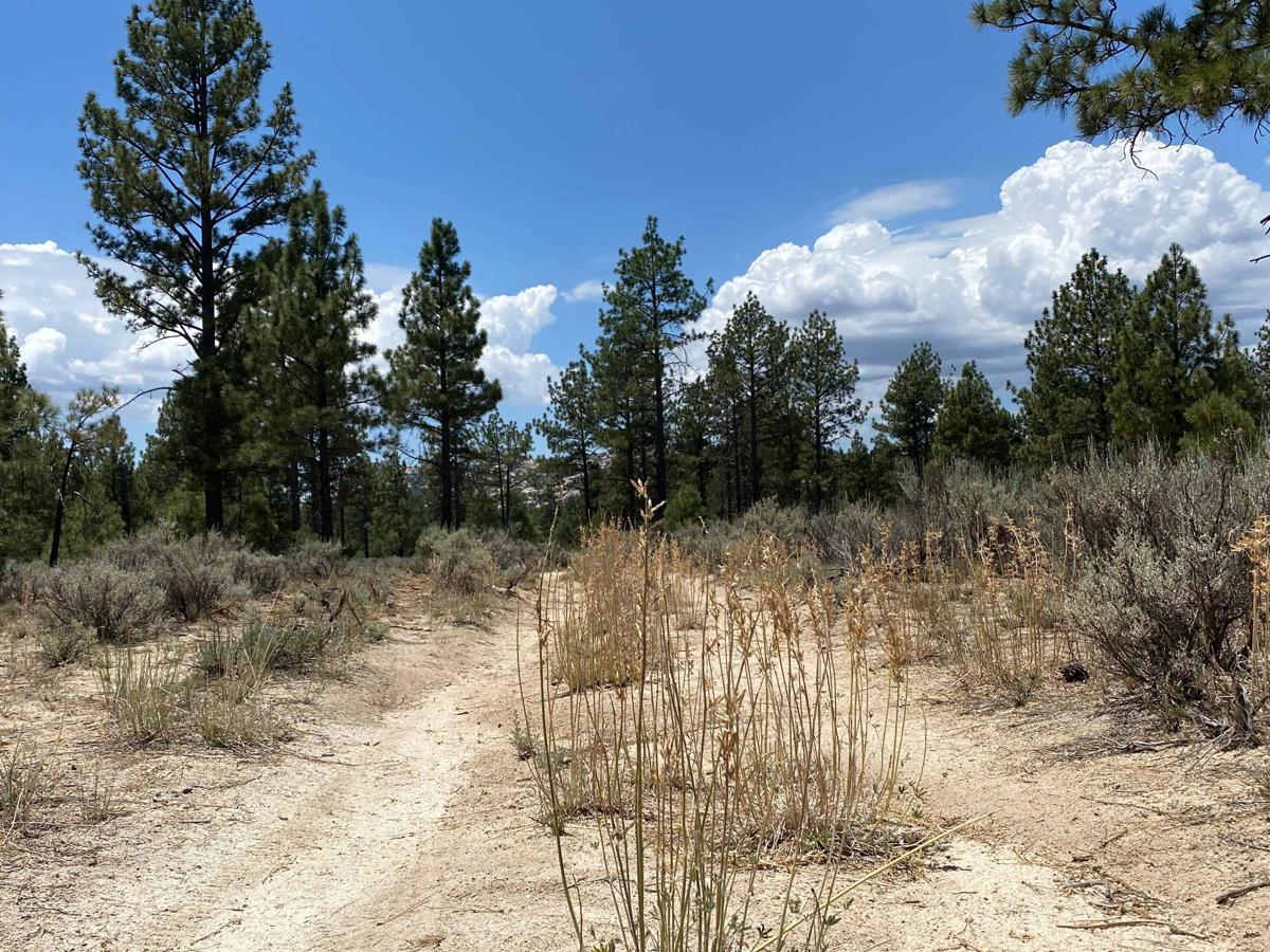 Rancho San Luis Road photo 5