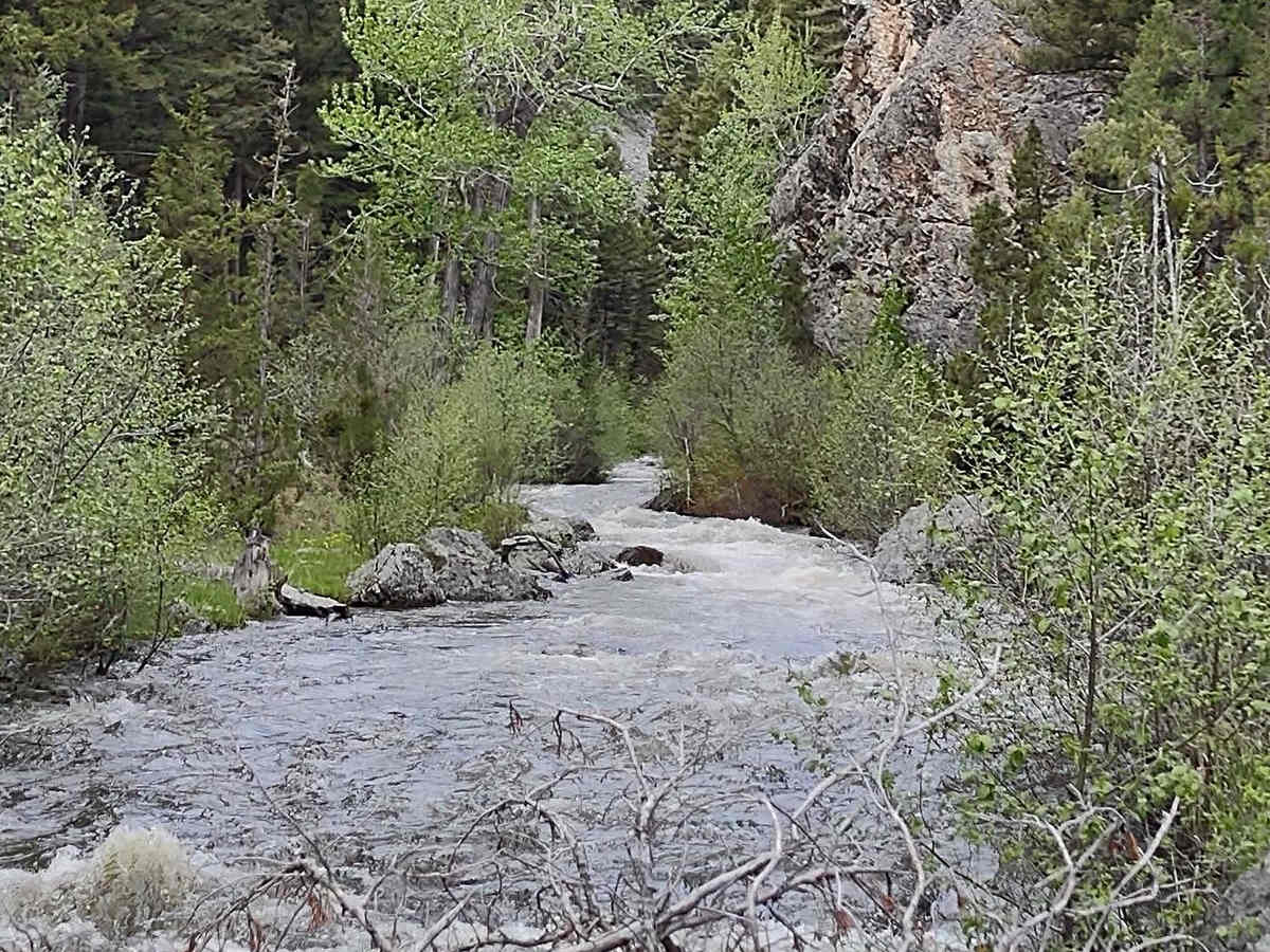 Indian Creek Road photo 3