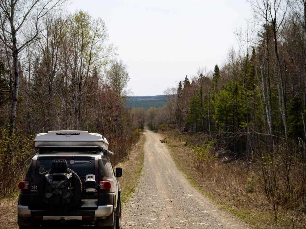 Roger Brook Trail (Part 1) photo 2