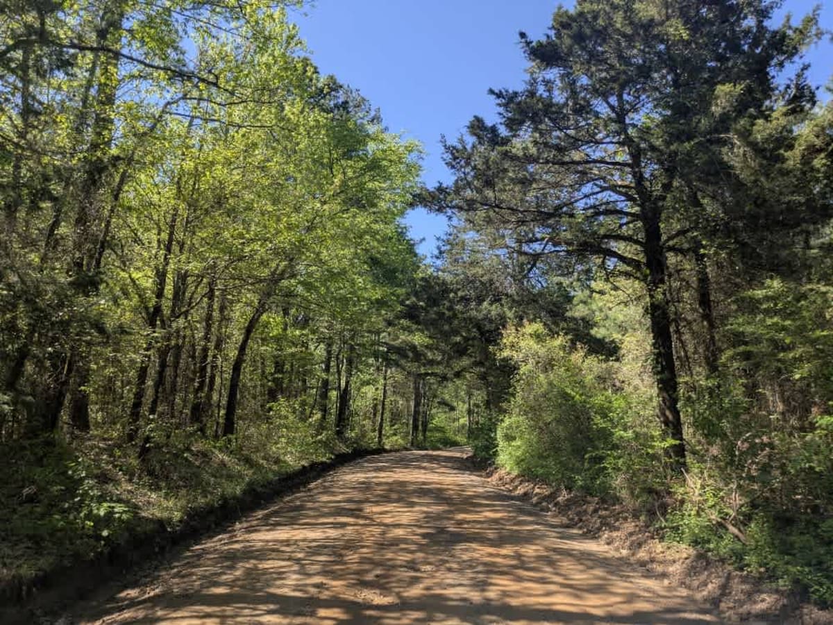 County Road 97 photo 3