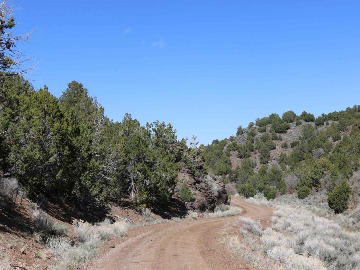 Silver Pass Road photo 4