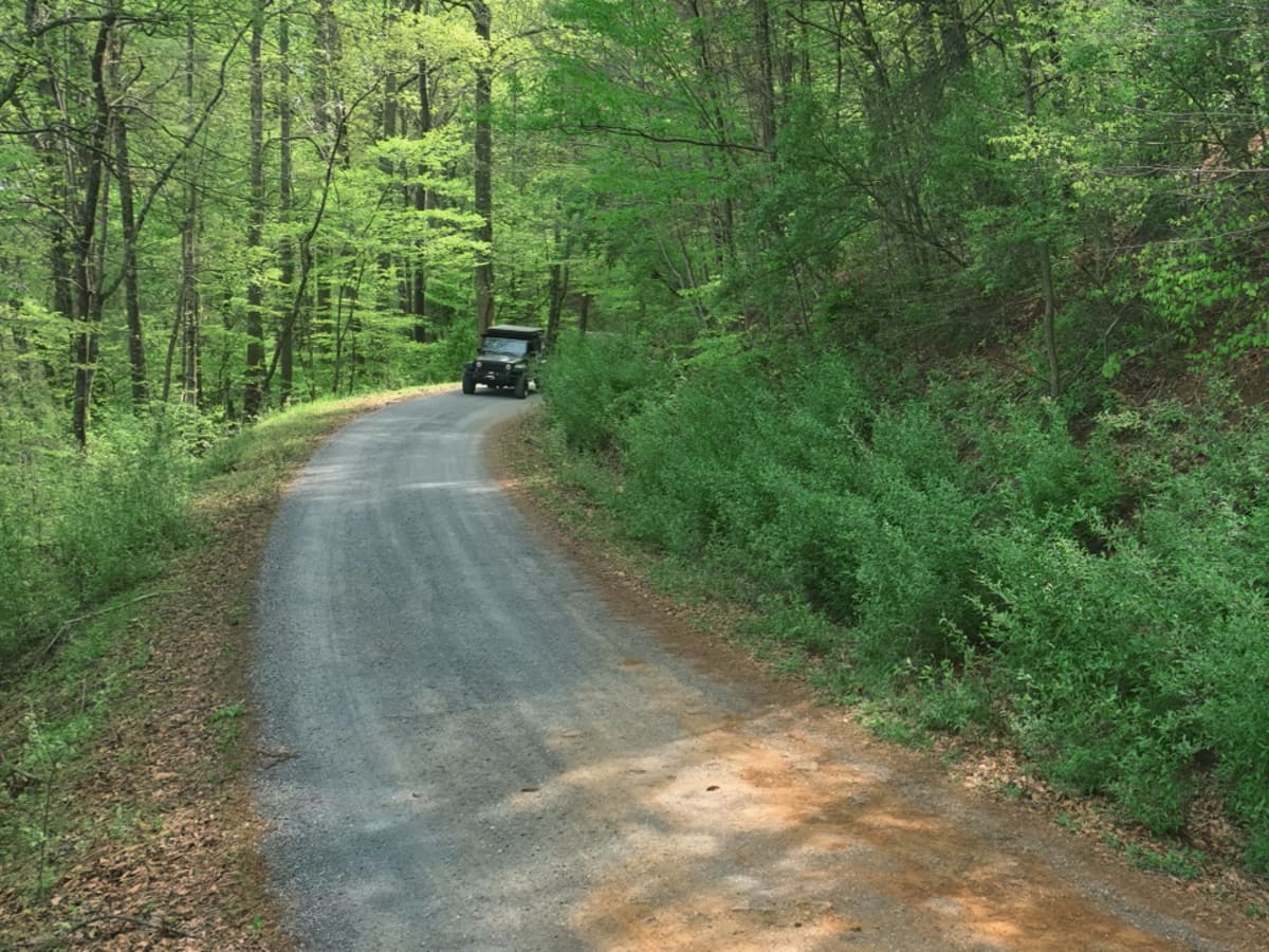 Pedlar River trail photo