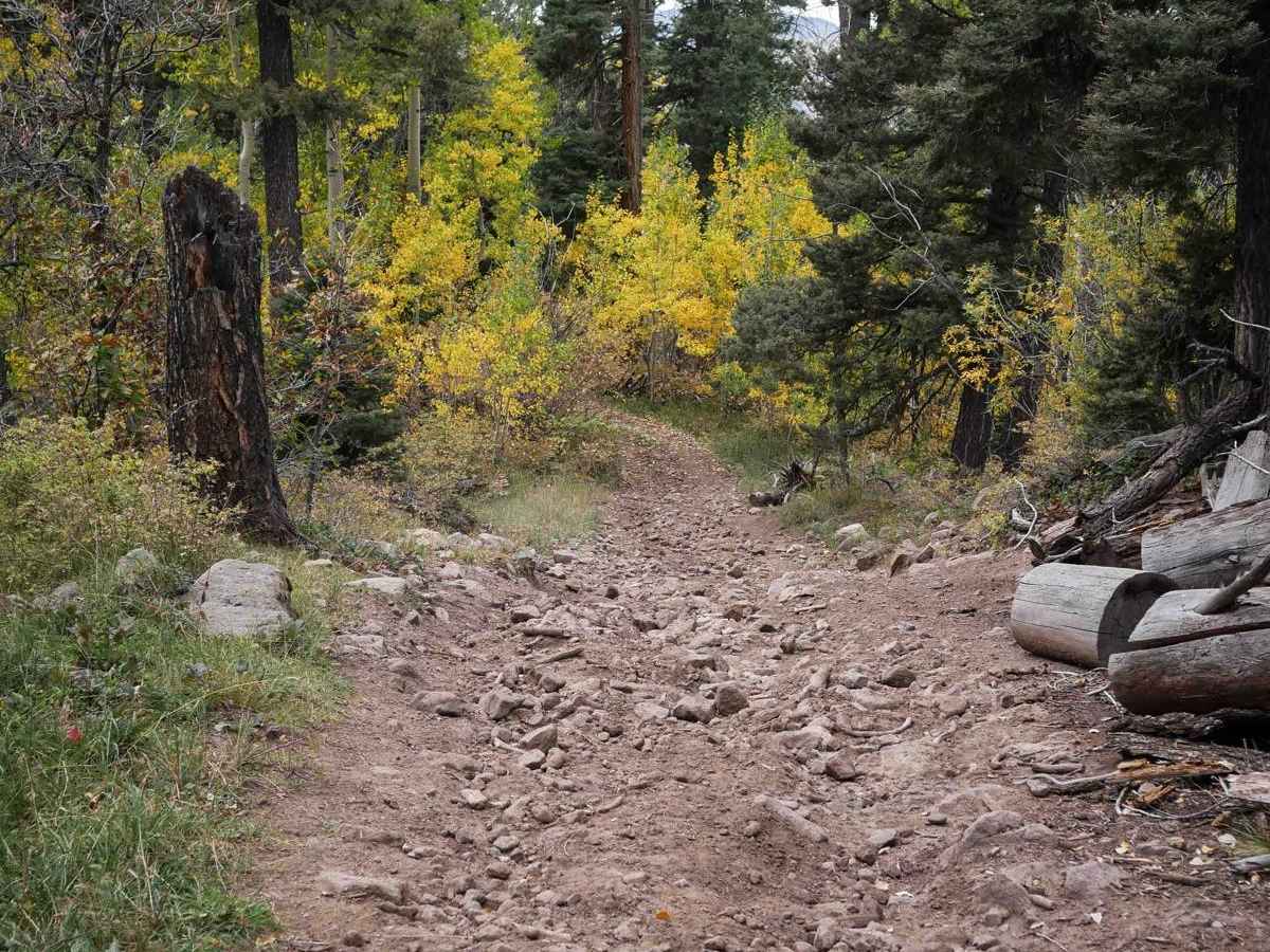 Runlett ATV photo 2