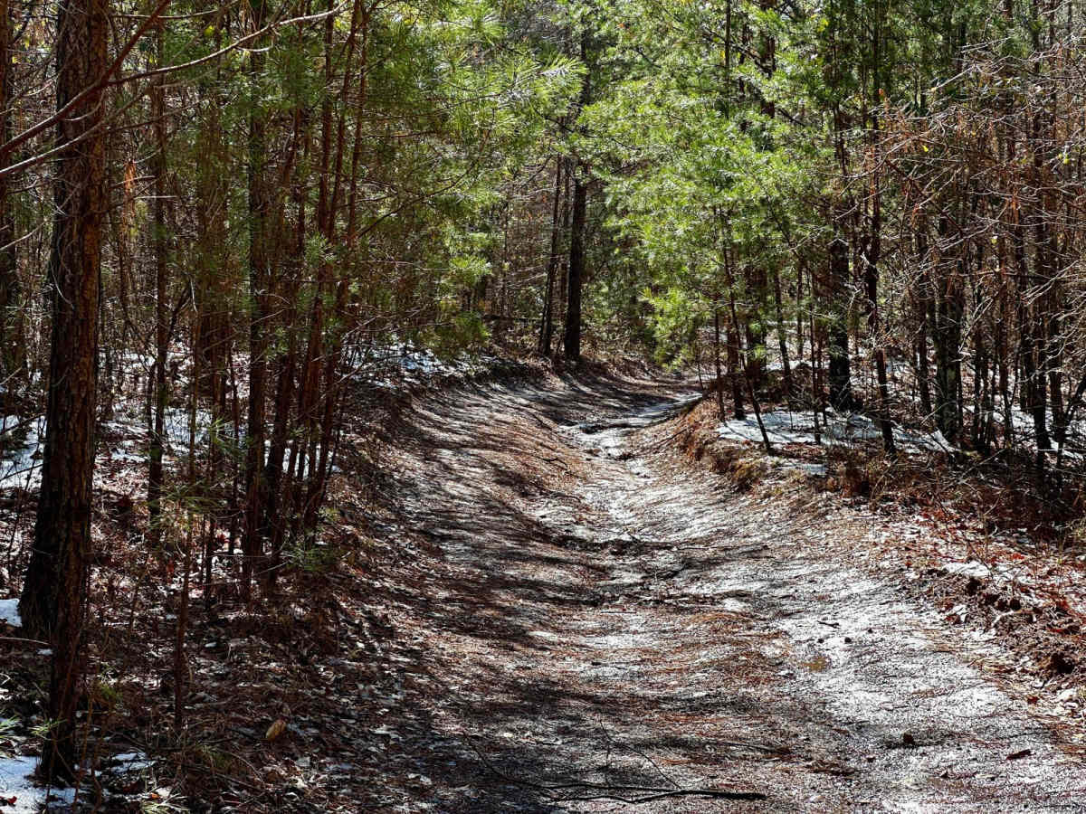 Blacksmith Road trail photo