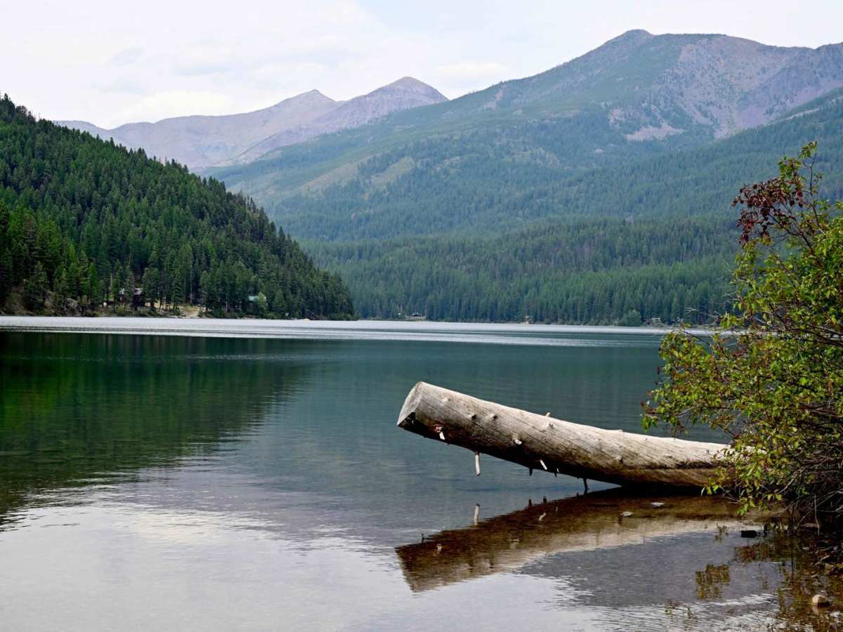 Coopers Lake trail photo