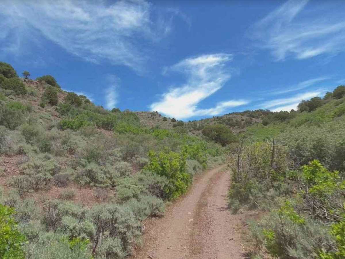 Chloride Canyon photo 6