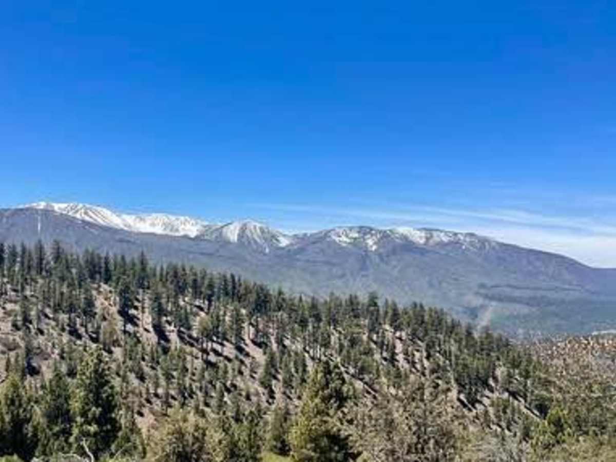 Wildhorse Meadow - 2N93 photo 3