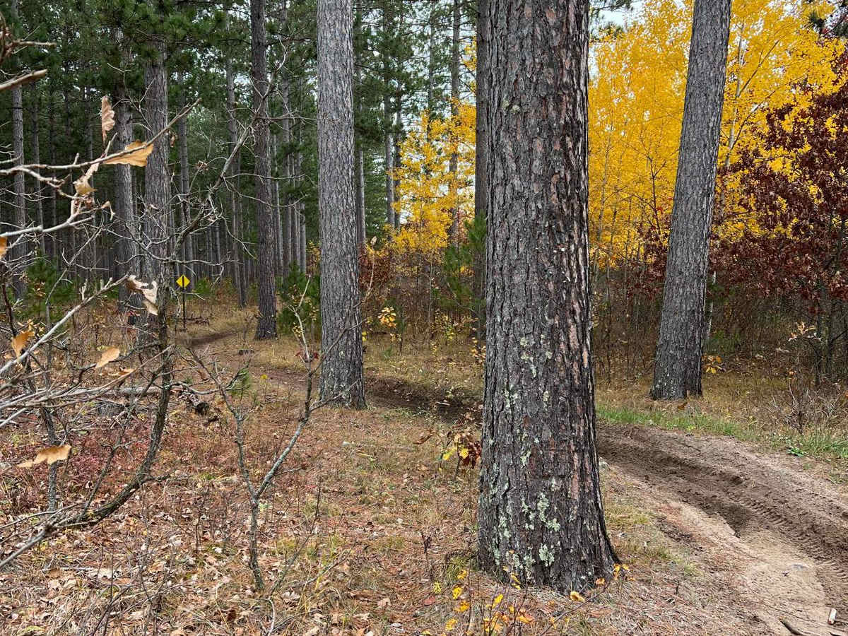 NE Huntersville Winding Woods trail photo