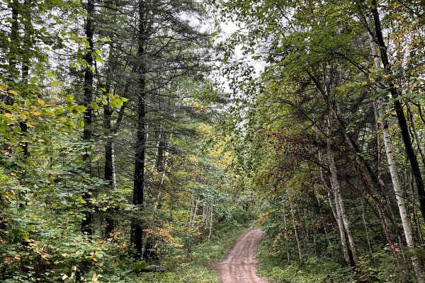 Thompson Minimum Maintenance Forest Road