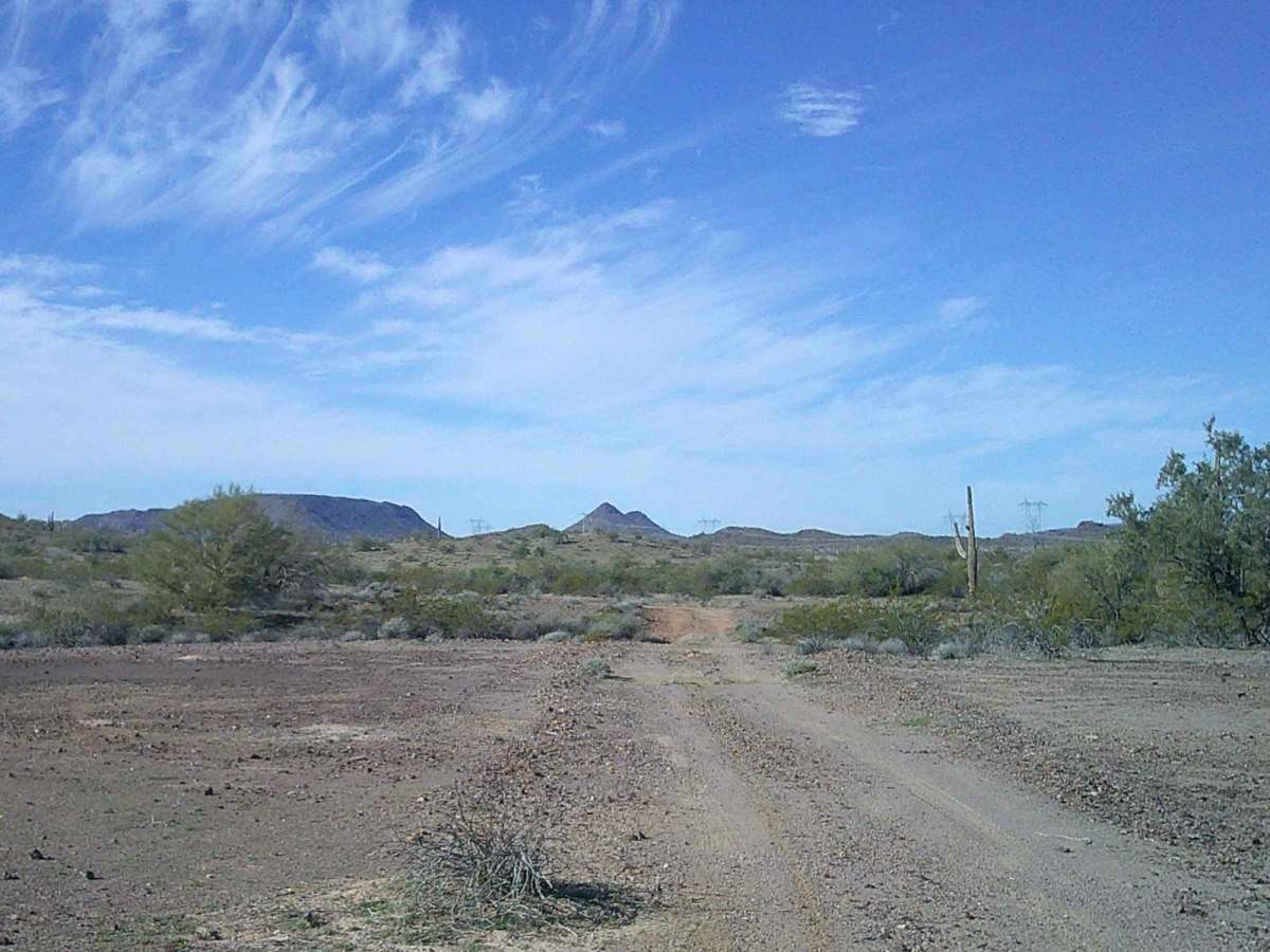 Cactus Road photo 4