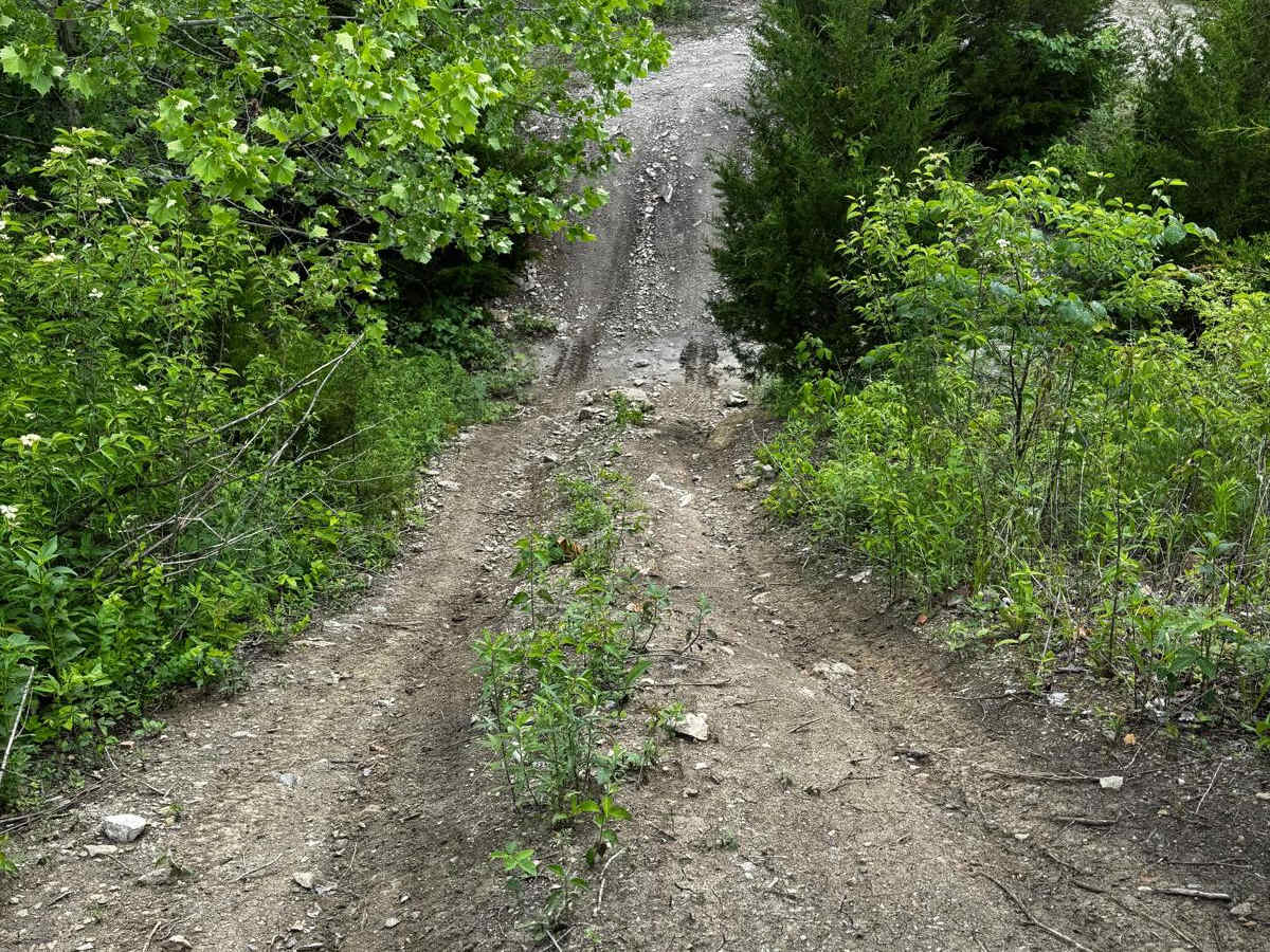 Yellow 172 photo 5