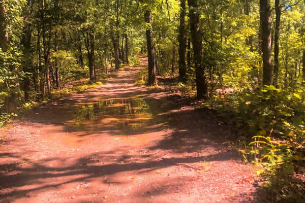 Moss Gap Staircase