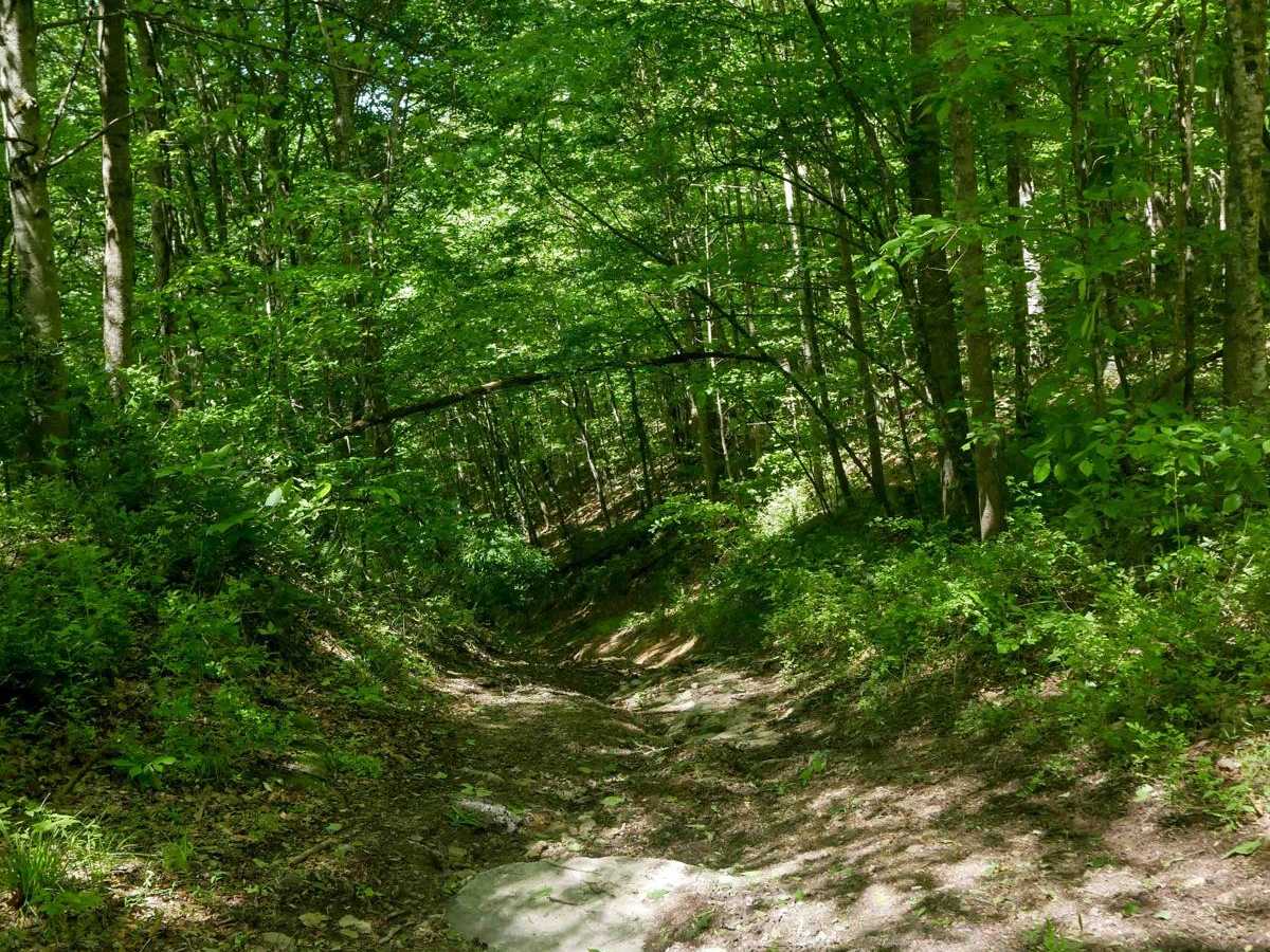 RV9 photo 2