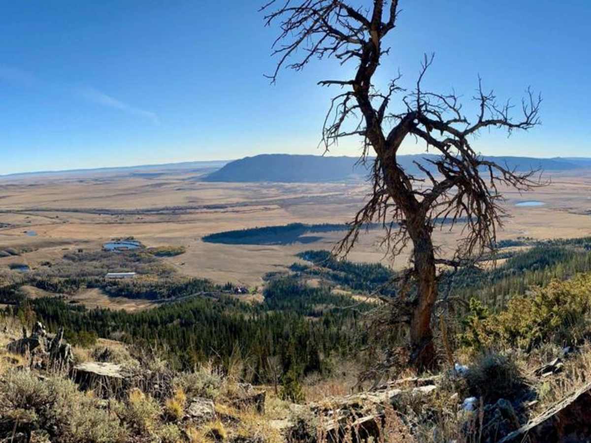 USFS Road 307 - Centennial Ridge photo 4