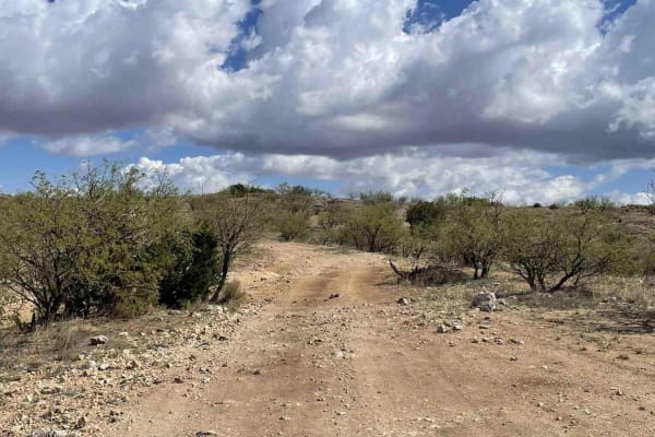 Chiva Loop - Forest Road 4417