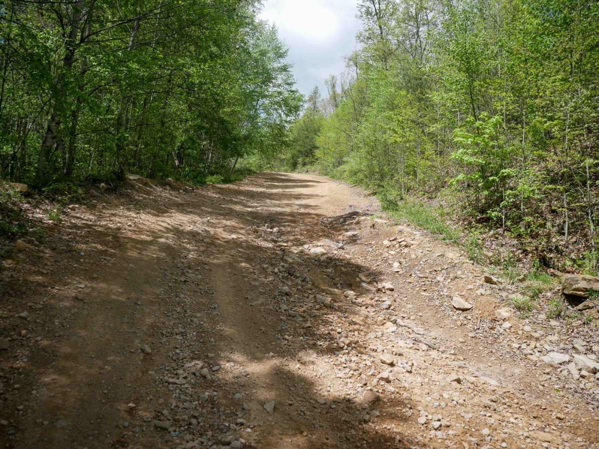 PC 21 trail photo