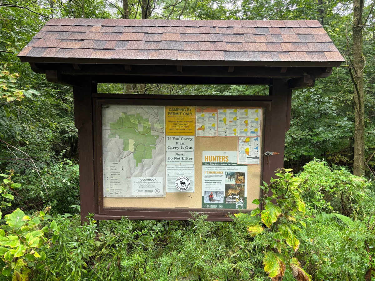 Tioughnioga Wildlife Management Area photo 3