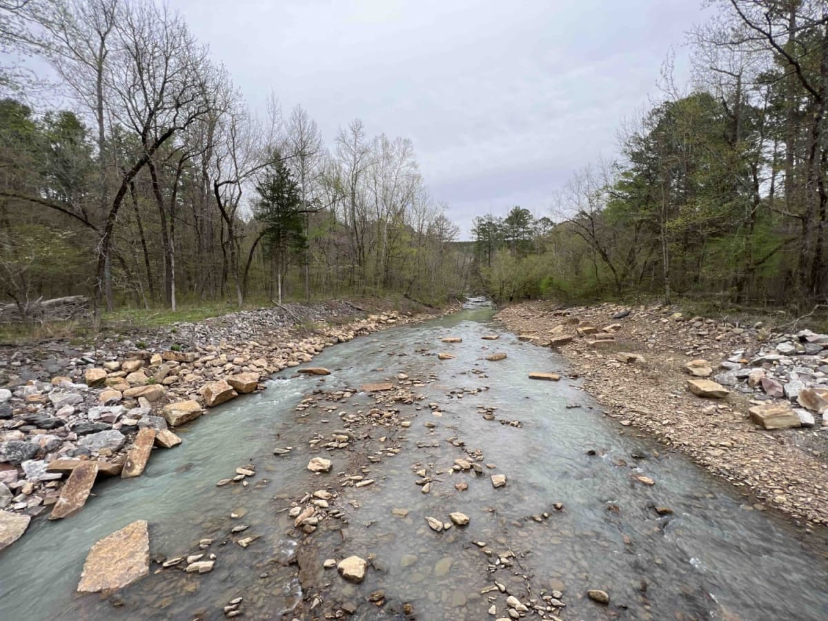 Shores Lake Road 1501 photo 4