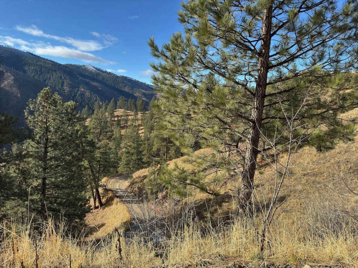 Brennan Creek photo 4