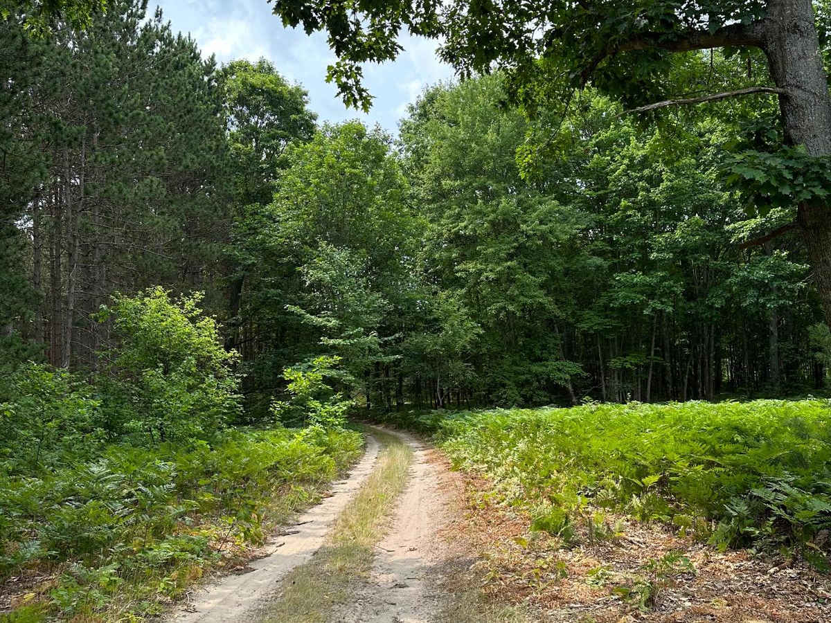 Milnichol Road photo 4