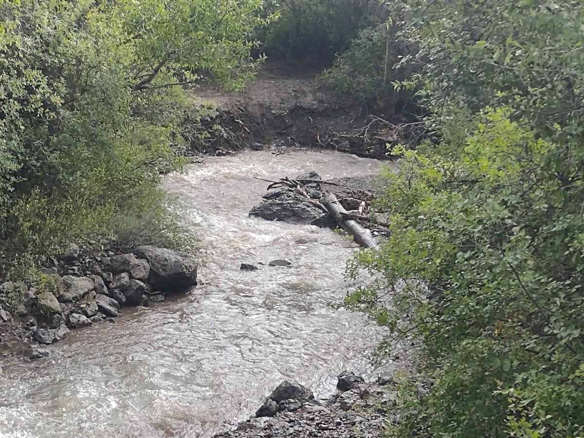Revenue Gulch to Rainbow Road trail photo