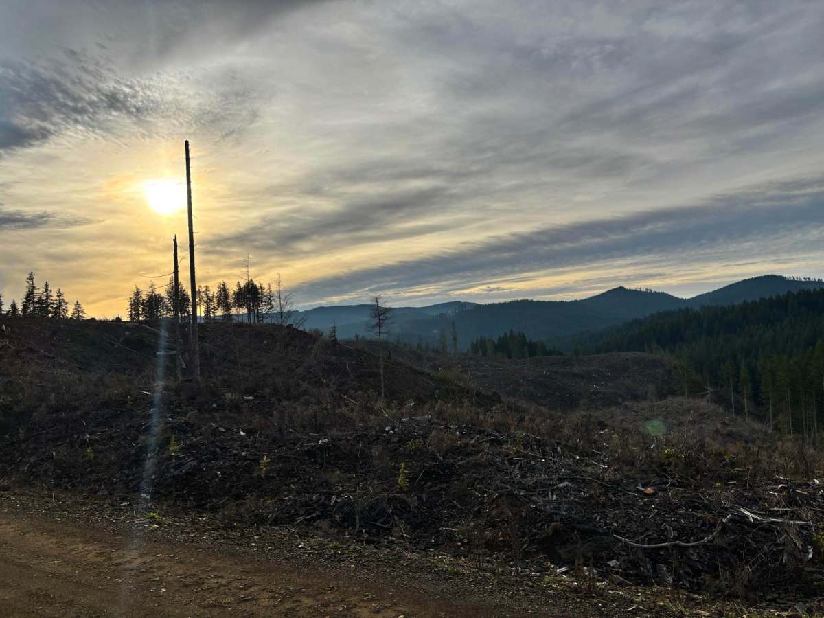 NoFo Road trail photo