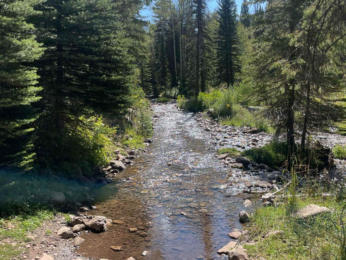 South Fork Weber - FR 031 photo 5