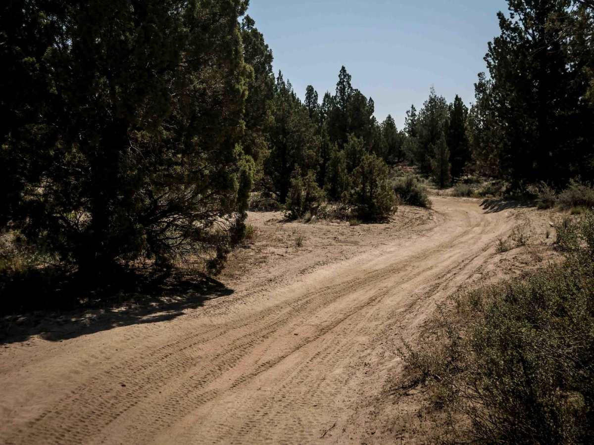 51 trail photo