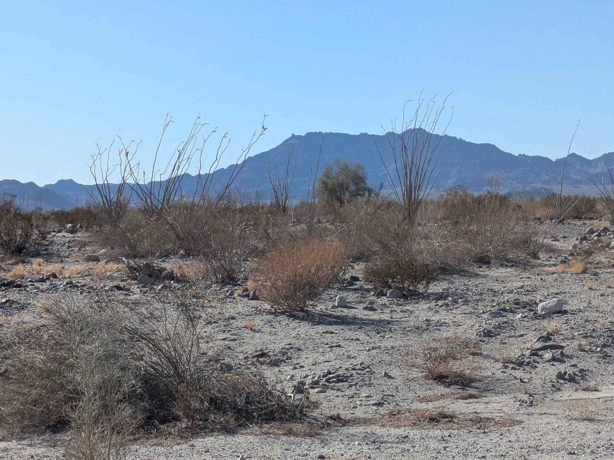 Whoops Sendero de Las Salinas photo 6