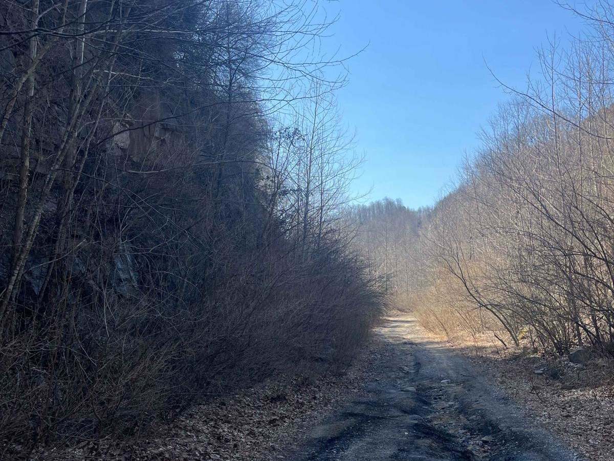 Trail 30 (Bear Branch) photo 2