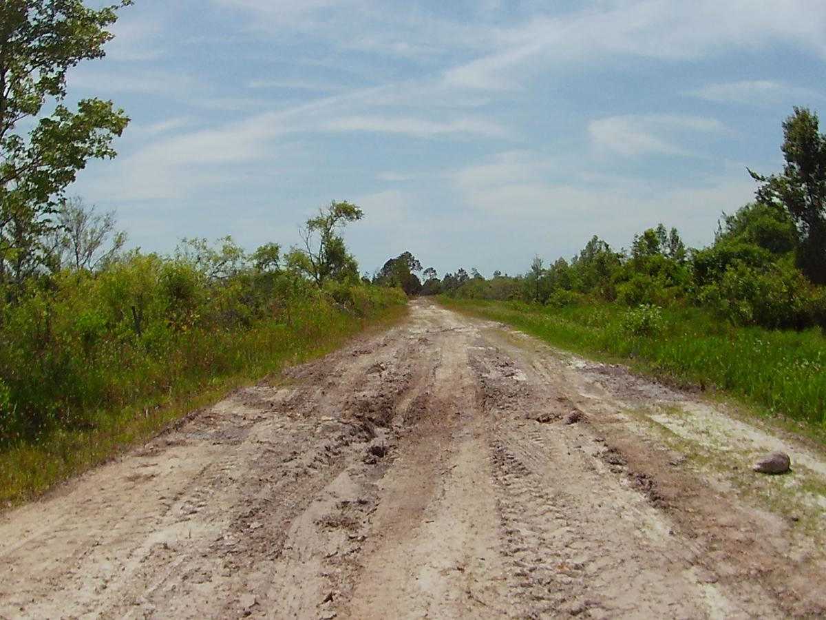 North Canal Road photo 3
