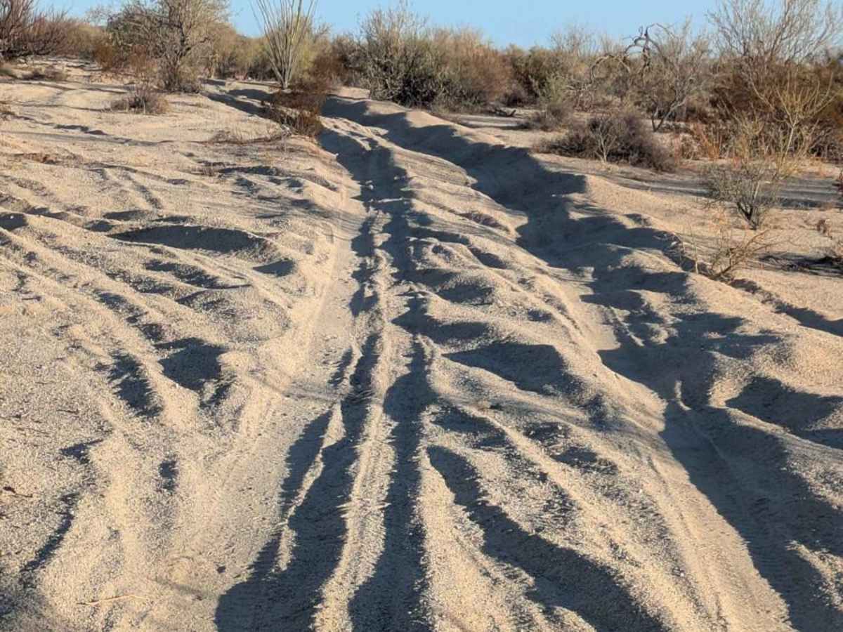 The Cortez Sand Trail photo 6