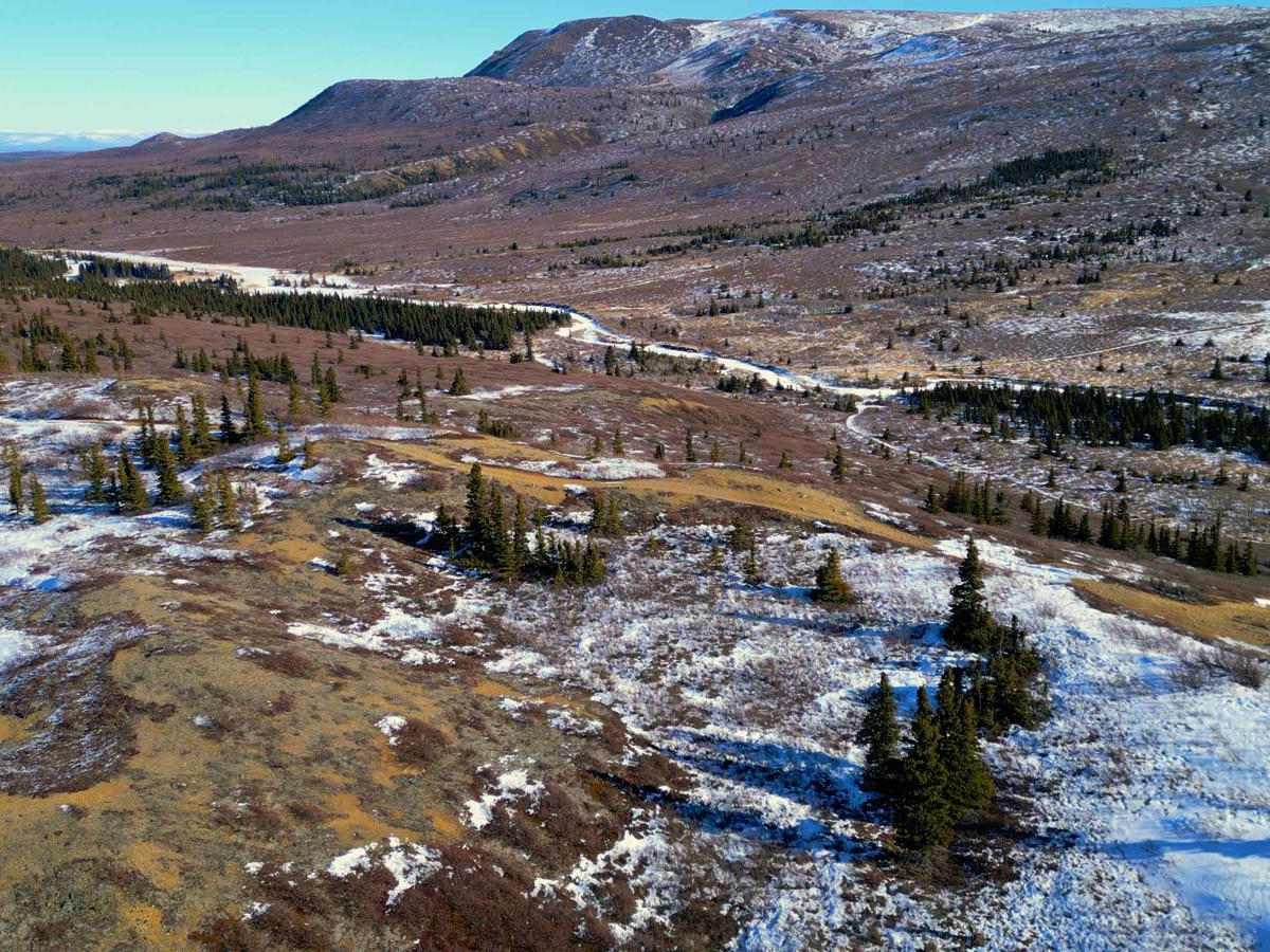 Caribou Ridge photo 3