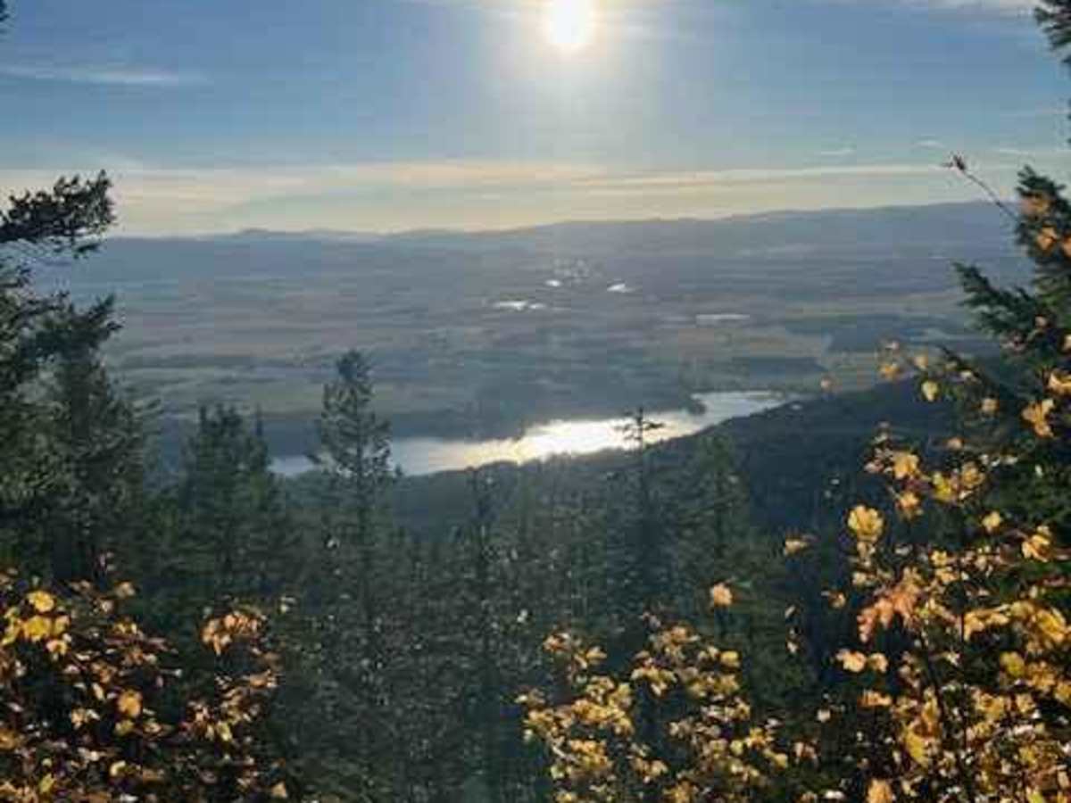 South Fork Hemler Creek trail photo