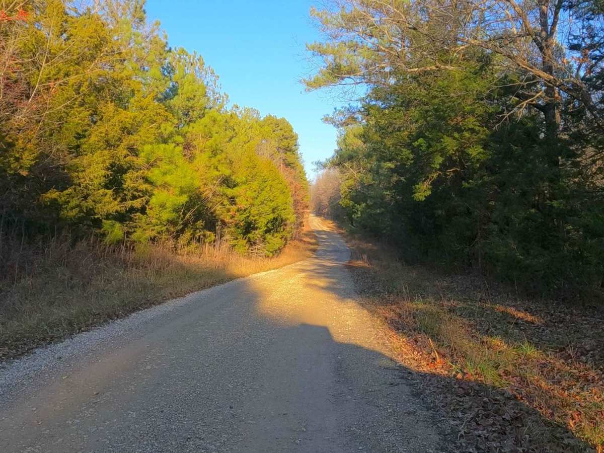 Duncan Bay Road - FS 132 photo 6