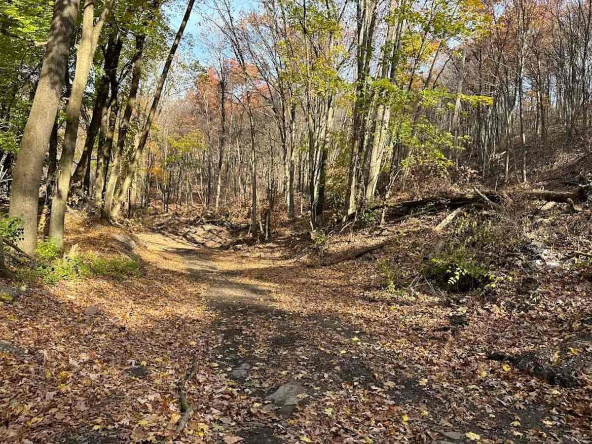 Ashland 148 photo 5