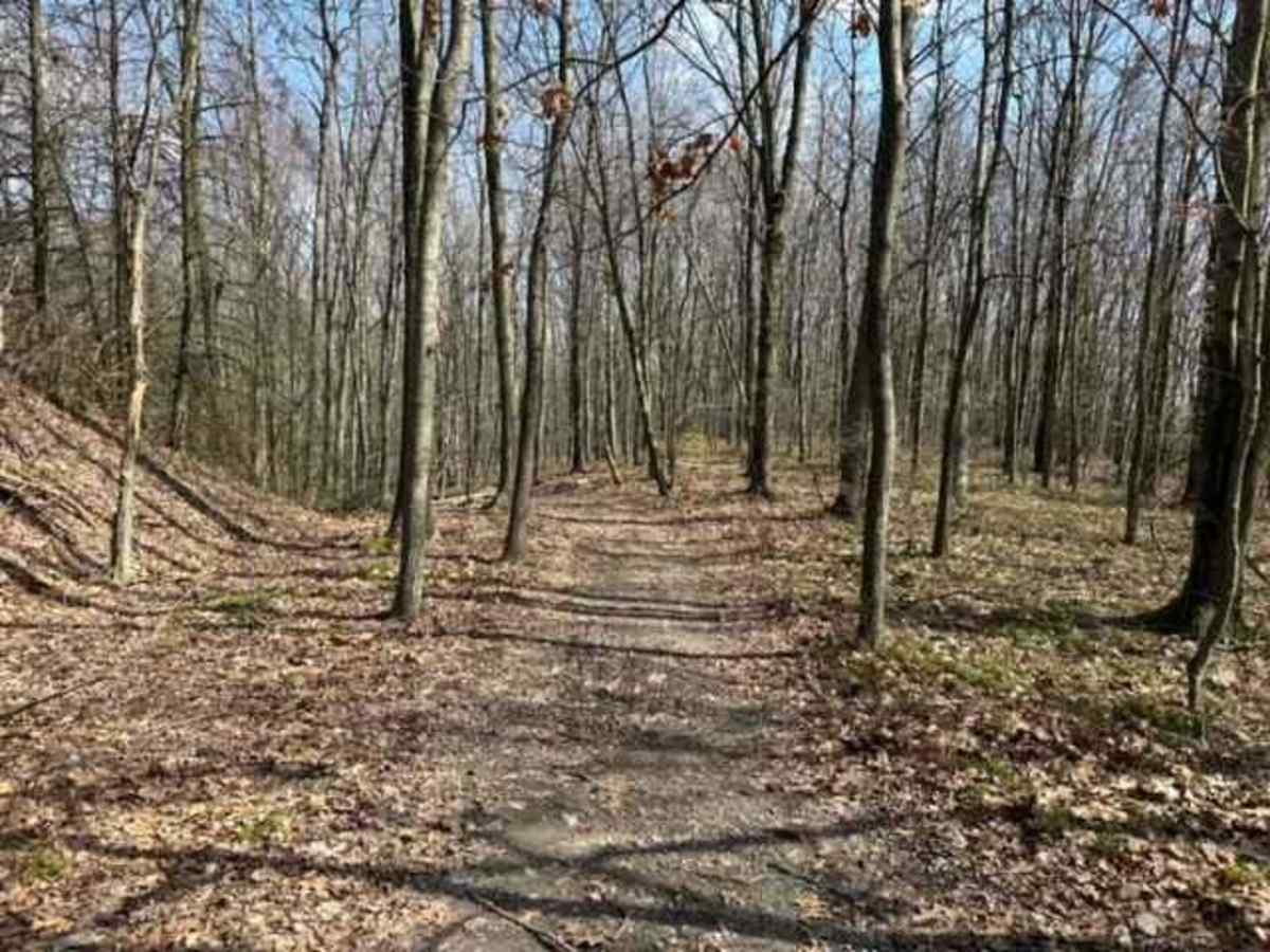 Ashland 106 photo 3